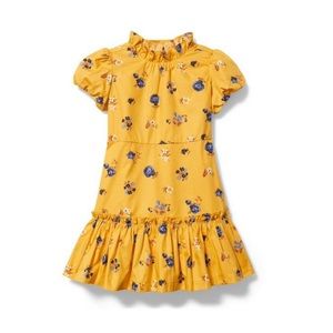 Janie and Jack Dress